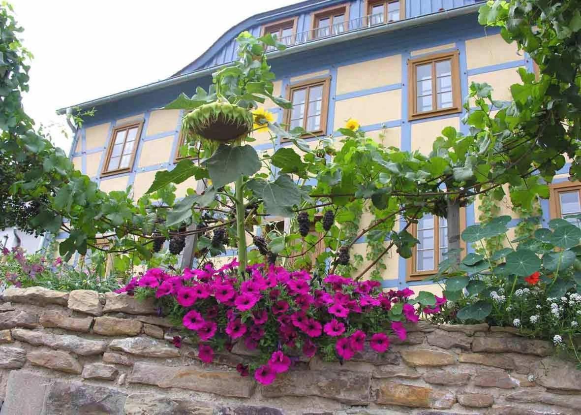 In Der Alten Weinstube Freital Exteriör bild